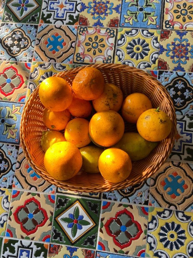 Villa Vita Oria  Dış mekan fotoğraf